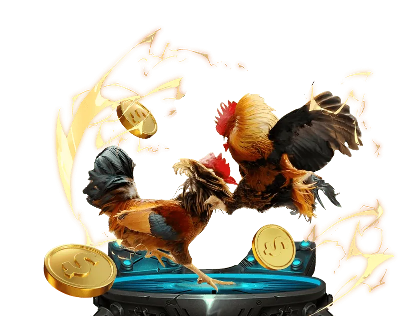 Người xem theo dõi đá gà trực tiếp trên thiết bị di động